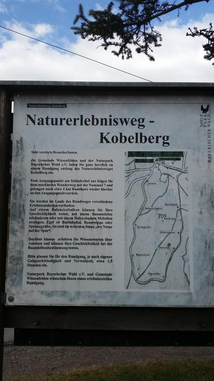 Waldgasthof - Hotel Schiederhof Wiesenfelden Екстериор снимка