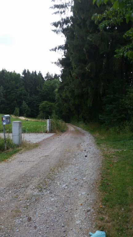 Waldgasthof - Hotel Schiederhof Wiesenfelden Екстериор снимка